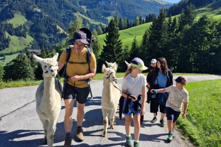 Alpakawanderung mit Karin