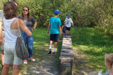 Familien Spaziergang inkl. Grillen beim Alpaka Gehege