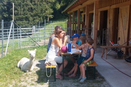 Familien Spaziergang inkl. Grillen beim Alpaka Gehege