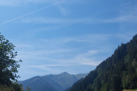 Familien Spaziergang inkl. Grillen beim Alpaka Gehege