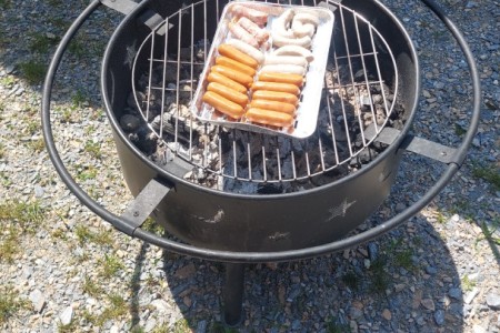 Familien Spaziergang inkl. Grillen beim Alpaka Gehege