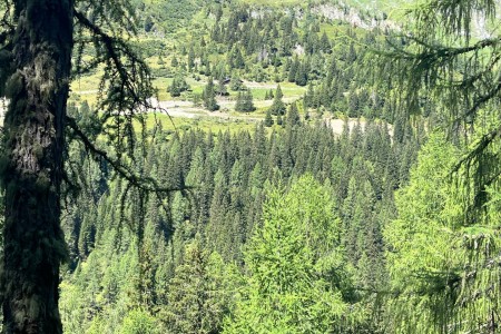 Wanderung mit Toni sen. zur Maurachalm