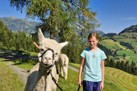 Alpakawanderung mit Karin