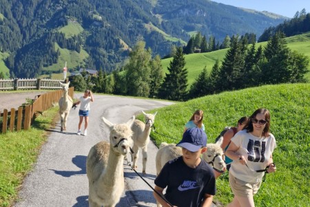 Alpakawanderung mit Karin