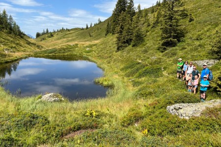 Wunderschöne Almwanderung mit Toni im Bereich der Saukaralm