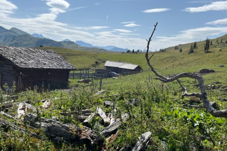 Wunderschöne Almwanderung mit Toni im Bereich der Saukaralm