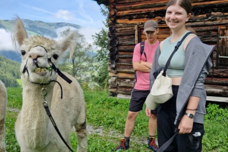 Alpakawanderung mit Karin