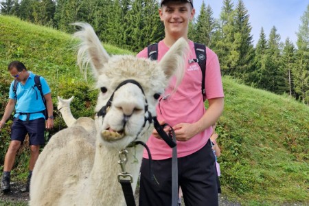 Alpakawanderung mit Karin