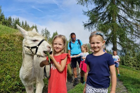 Alpakawanderung mit Karin