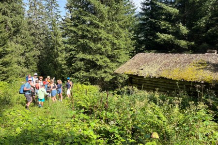 Wunderschöne Wanderung im Bereich der Breitenebenalm mit Toni sen.