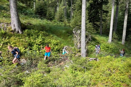 Wunderschöne Wanderung im Bereich der Breitenebenalm mit Toni sen.