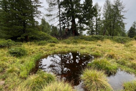 Wanderung mit Toni sen. zur Filzmoosalm