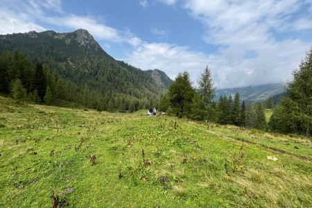 Wanderung mit Toni sen. zur Filzmoosalm