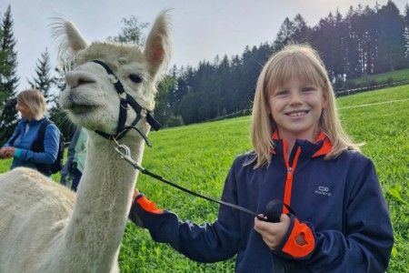 Alpakawanderung mit Karin