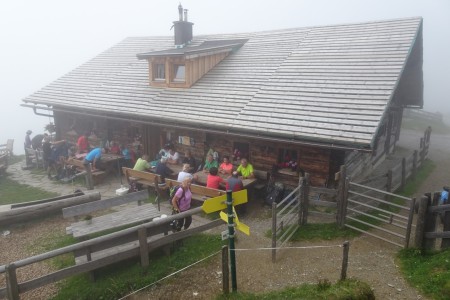 Geführte Almenwanderung mit Maria jun. im Ellmautal