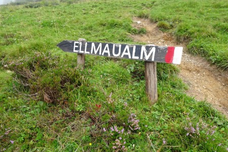 Geführte Almenwanderung mit Maria jun. im Ellmautal