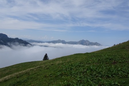 Wanderung mit Maria zur Karseggalm