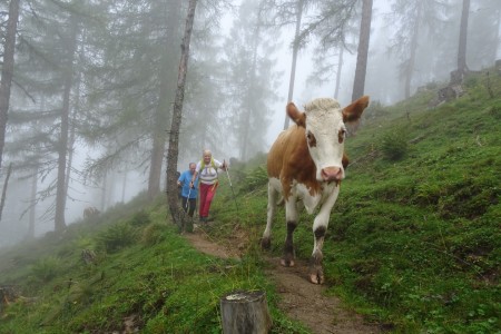 Wanderung mit Maria zur Karseggalm