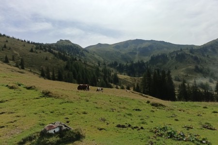 Wanderung mit Daniela zum Penkkopf