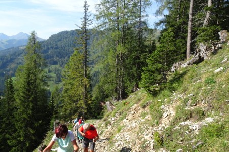 Geführte Berg & Almtour mit Dominik und Maria im Bereich der Niggltalalm