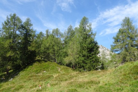 Geführte Berg & Almtour mit Dominik und Maria im Bereich der Niggltalalm