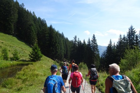 Geführte Berg & Almtour mit Dominik und Maria im Bereich der Niggltalalm