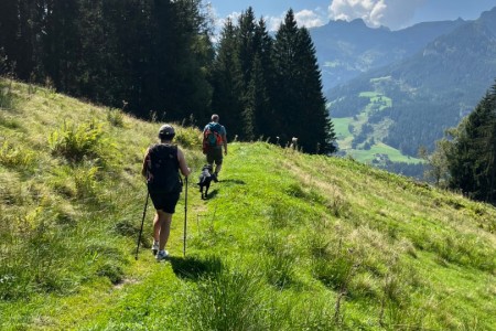 Wanderung mit Toni sen. zur Maurachalm