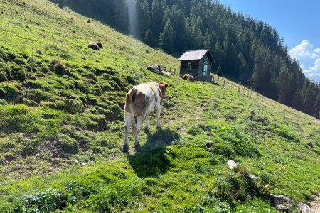 Wanderung mit Toni sen. zur Maurachalm