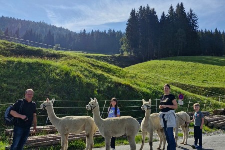 Alpakawanderung mit Karin