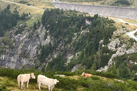 Geführte Tour mit Toni sen. im Stubachtal - Tauernmoos