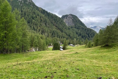 Gemütliche Almfahrt und Wanderung zur Draugsteinlacke