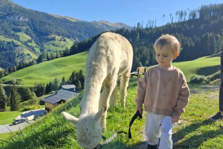 Alpakawanderung mit Karin