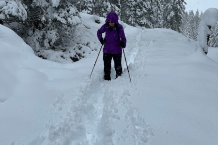 Schnee - Wanderung mit Toni im Bereich der Breitenebenalm