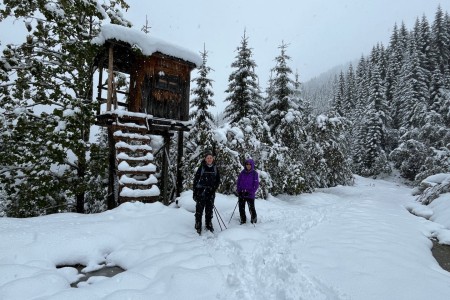 Schnee - Wanderung mit Toni im Bereich der Breitenebenalm