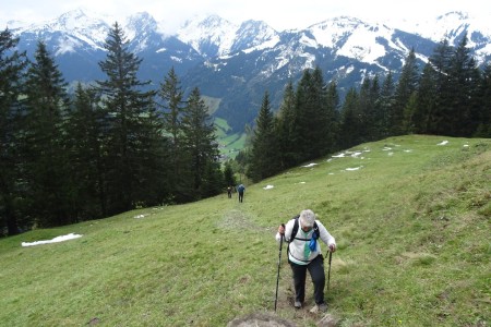 Almwanderung mit Dominik zur Gerstreitalm