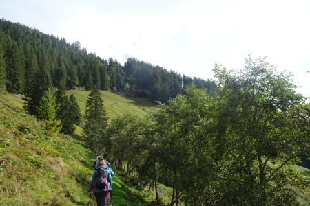 Almwanderung mit Dominik zur Gerstreitalm