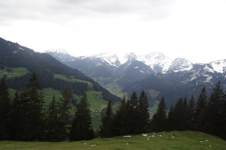 Almwanderung mit Dominik zur Gerstreitalm