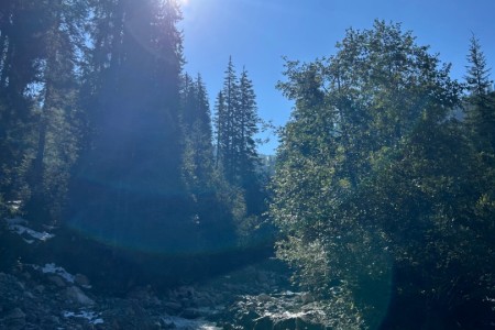 Gemeinsame Wanderung mit Mathias im Gebiet Breitenebenalm