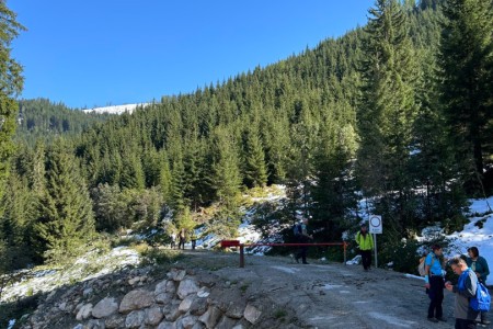 Gemeinsame Wanderung mit Mathias im Gebiet Breitenebenalm