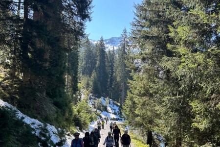 Gemeinsame Wanderung mit Mathias im Gebiet Breitenebenalm