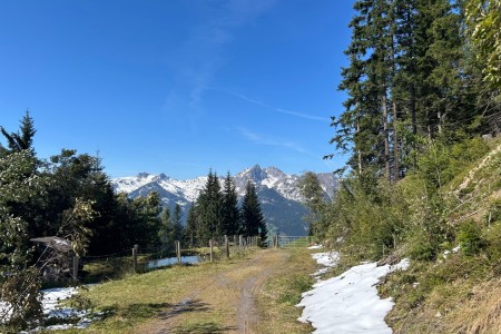 Gemeinsame Wanderung mit Mathias im Gebiet Breitenebenalm