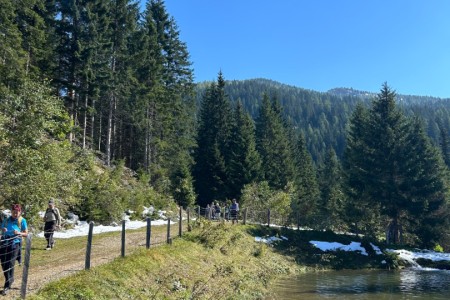 Gemeinsame Wanderung mit Mathias im Gebiet Breitenebenalm