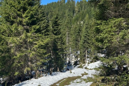 Gemeinsame Wanderung mit Mathias im Gebiet Breitenebenalm