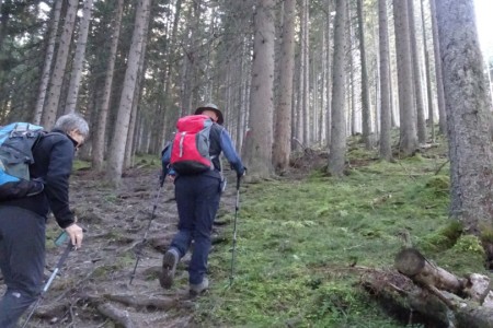 Wanderung mit Daniela zur Bichlalm