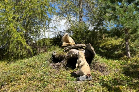 Wanderung mit Daniela zur Bichlalm