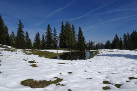 Wanderung mit Daniela zur Bichlalm