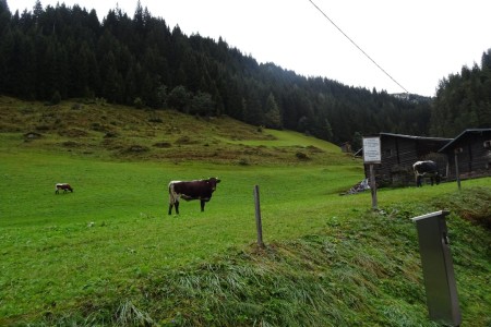 Wanderung mit Maria und Sophia zur Weißalm