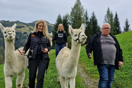 Alpakawanderung mit Karin