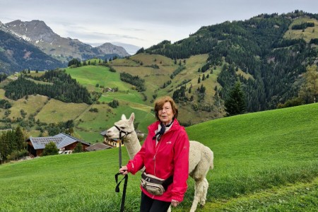 Alpakawanderung mit Karin