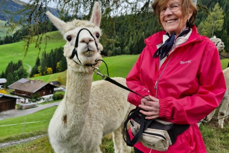 Alpakawanderung mit Karin